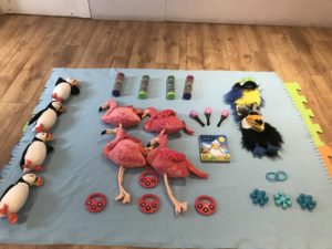 The Sensory Sessions baby class in Murrayfield